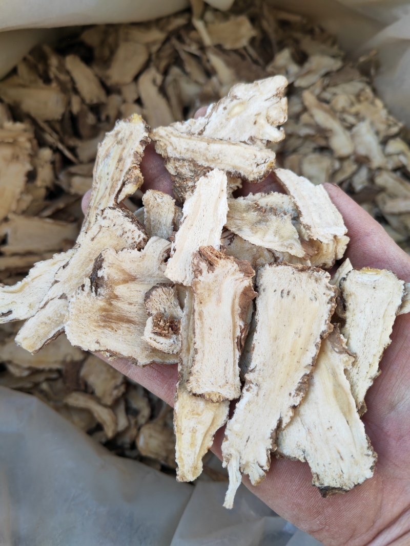 当归头片无硫当归头片甘肃岷县当归头切片产地直销
