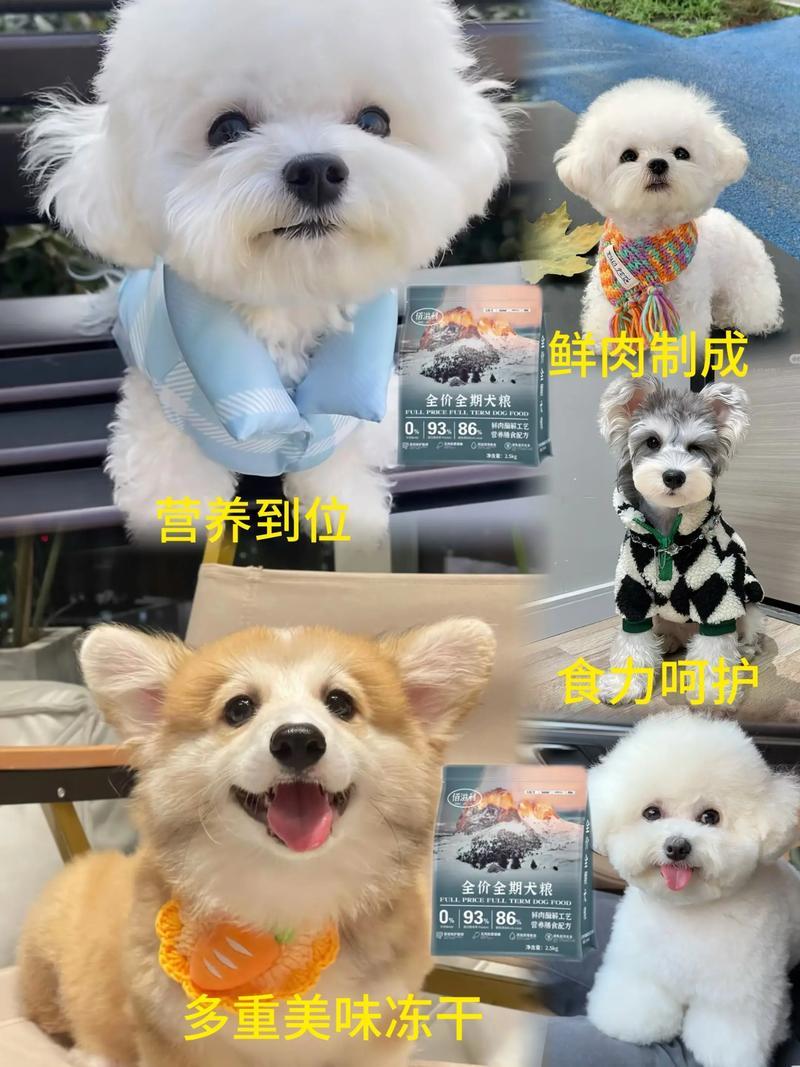 佰滋利狗粮通用型鲜肉营养全犬冻干粮泰迪博美比熊金毛宠物必