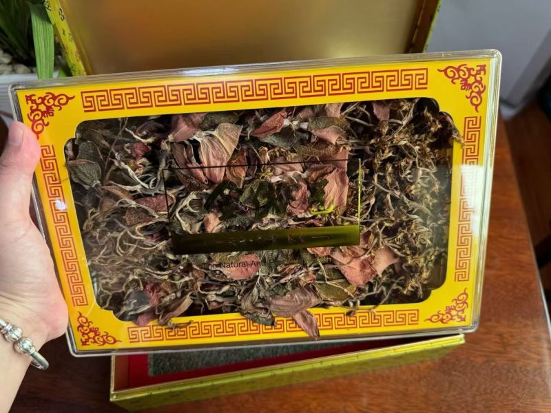 红霞金线莲开花干品种植户直发价格优惠欢迎下单品尝