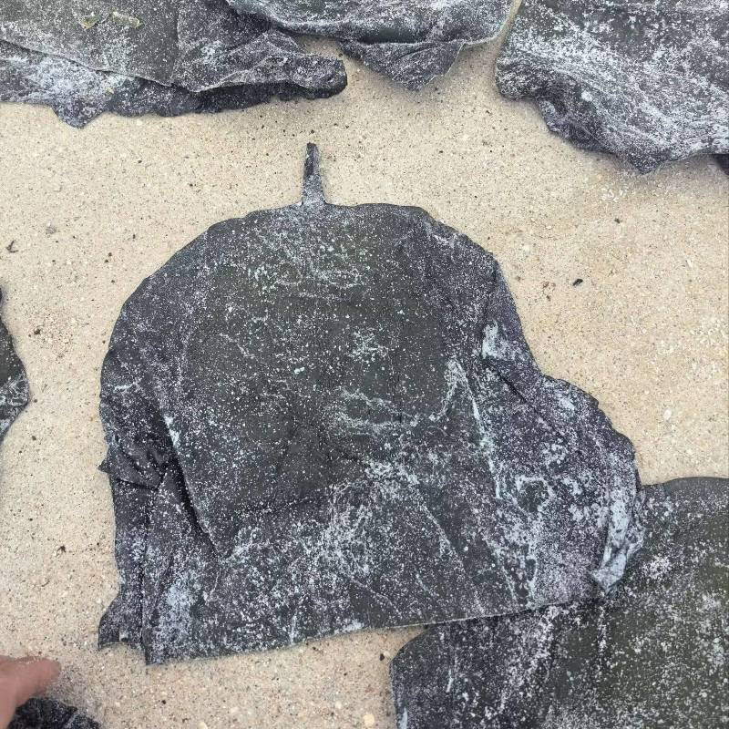盐渍海带