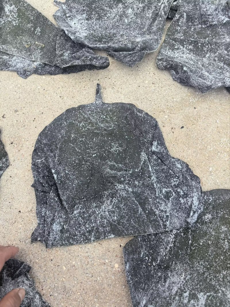 盐渍海带