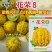丰信恒花荣8号大果甜瓜种色泽靓丽脆甜可口高产抗病商品性好