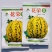 丰信恒花荣8号大果甜瓜种色泽靓丽脆甜可口高产抗病商品性好