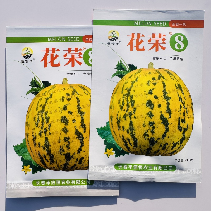 丰信恒花荣8号大果甜瓜种色泽靓丽脆甜可口高产抗病商品性好