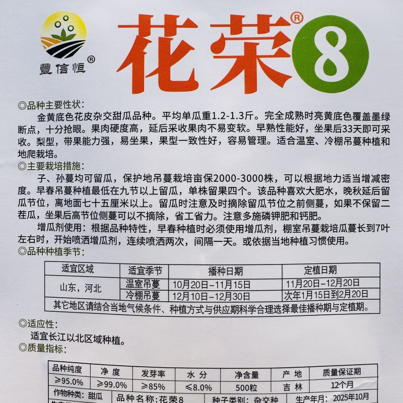 丰信恒花荣8号大果甜瓜种色泽靓丽脆甜可口高产抗病商品性好