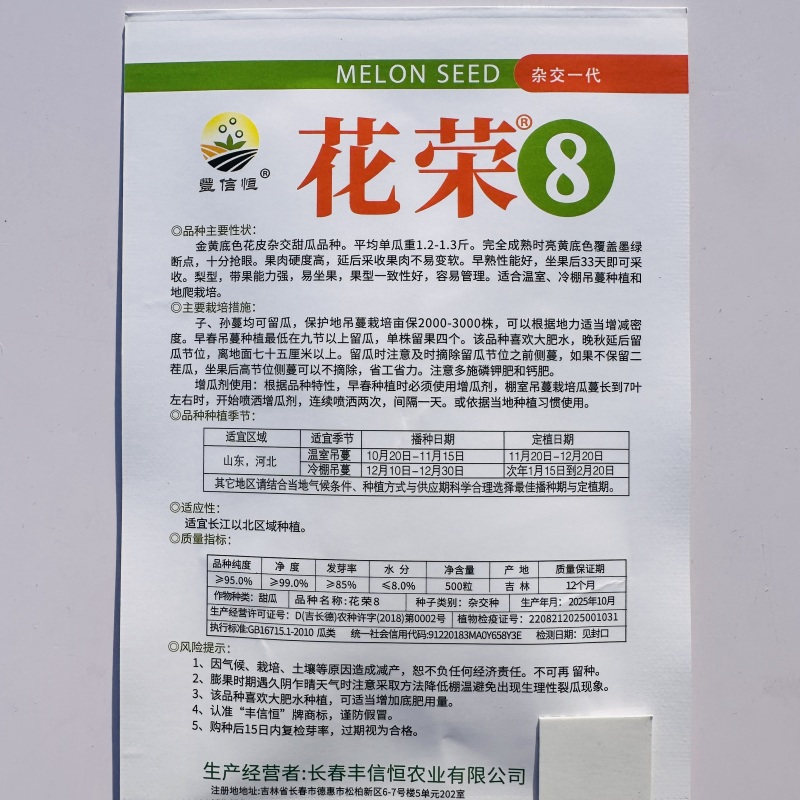 丰信恒花荣8号大果甜瓜种色泽靓丽脆甜可口高产抗病商品性好