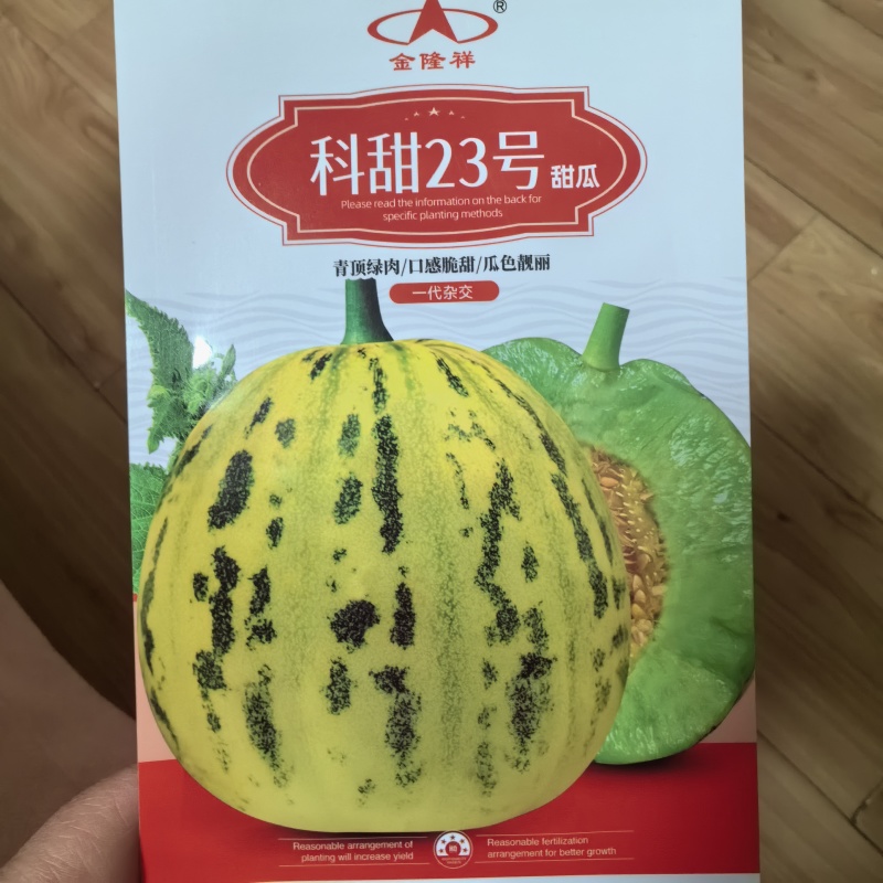 丰信恒花荣8号大果甜瓜种色泽靓丽脆甜可口高产抗病商品性好