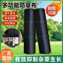 果园防草布除草布果树保湿布遮草布席园林农用地布地膜