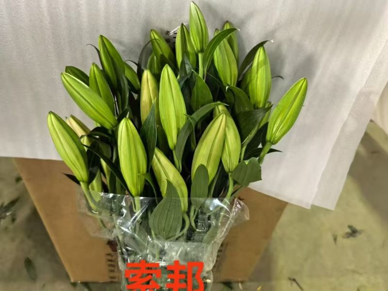 鲜花小镇玖源花卉