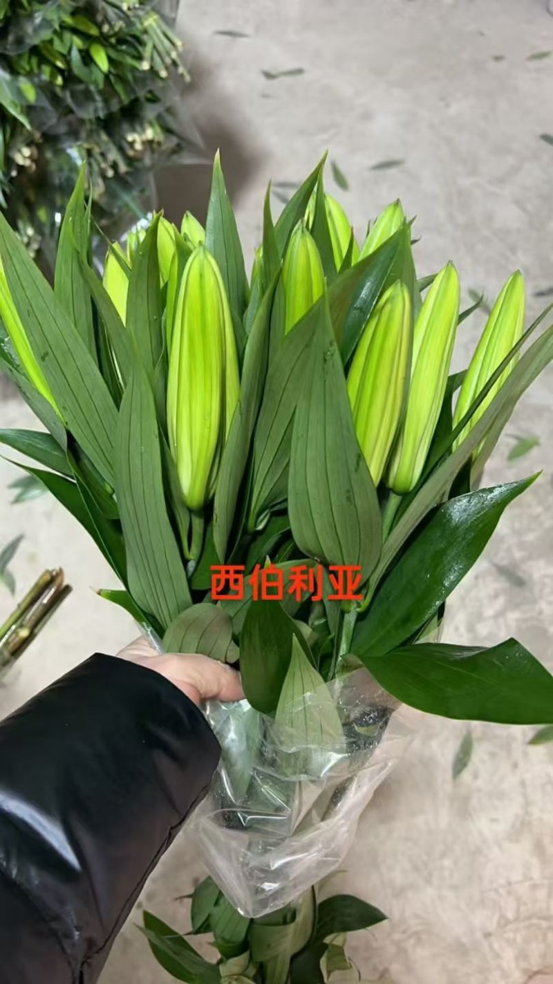 鲜花小镇玖源花卉
