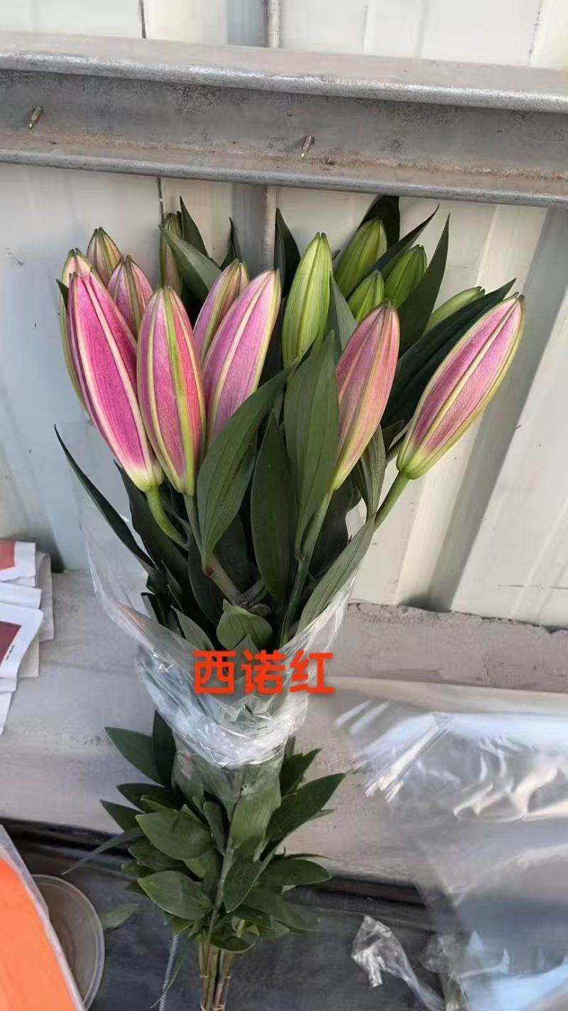 鲜花小镇玖源花卉