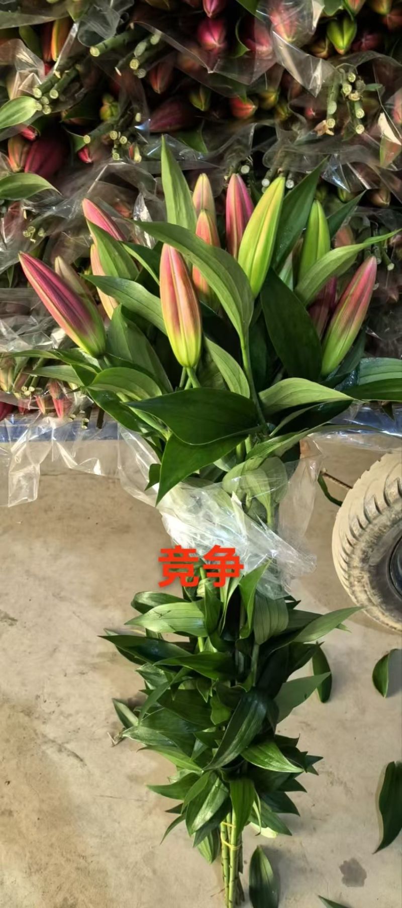 鲜花小镇玖源花卉