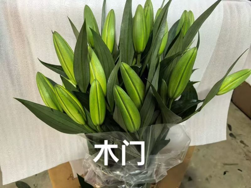 鲜花小镇玖源花卉