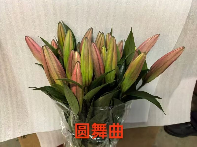 鲜花小镇玖源花卉