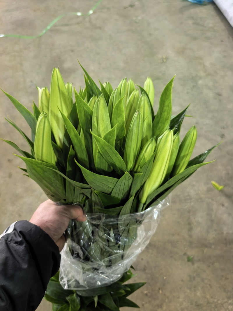 鲜花小镇玖源花卉