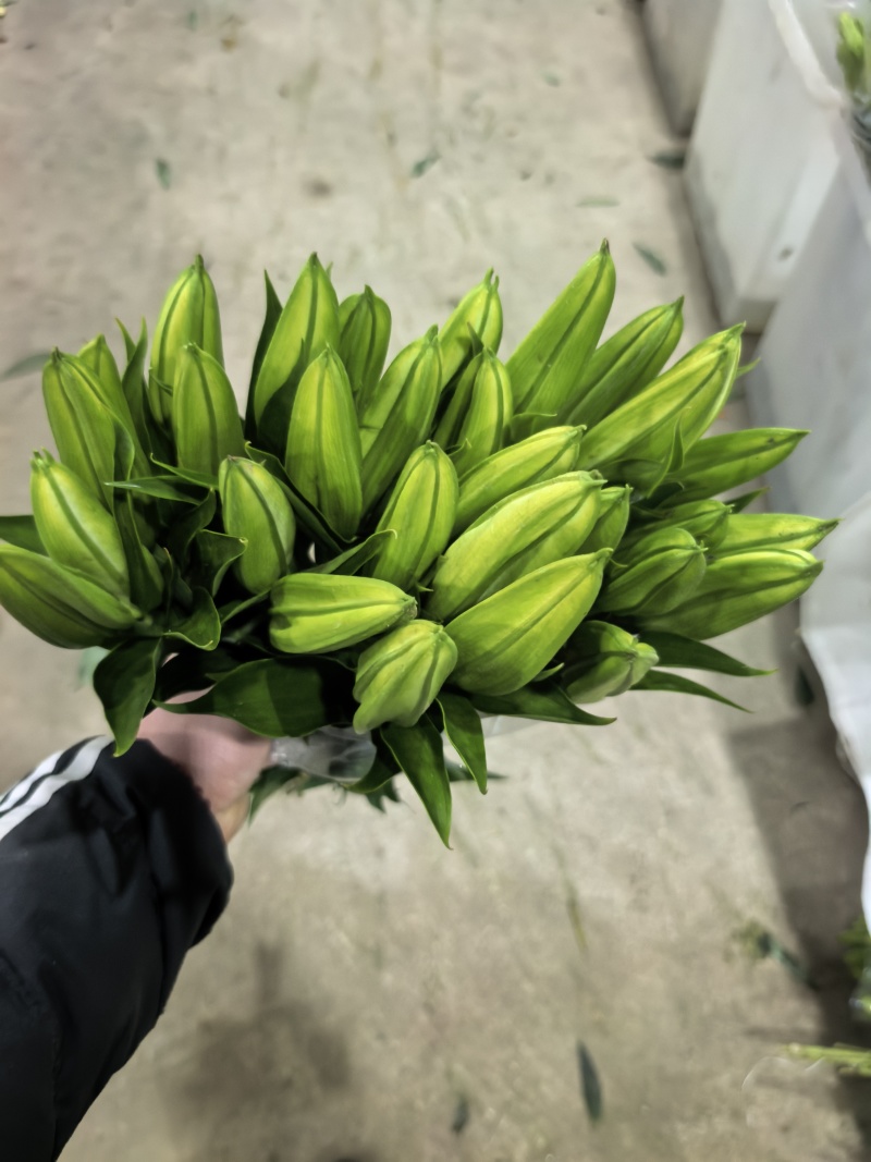 鲜花小镇玖源花卉