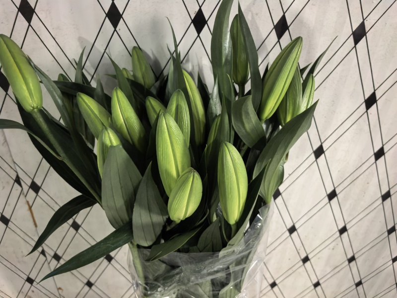 鲜花小镇玖源花卉