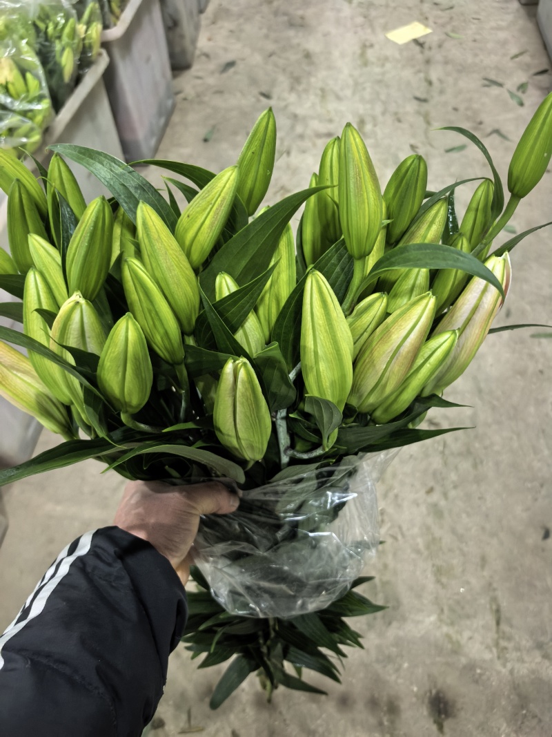 鲜花小镇玖源花卉