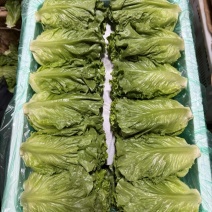 云南精品大利生菜油麦黄白