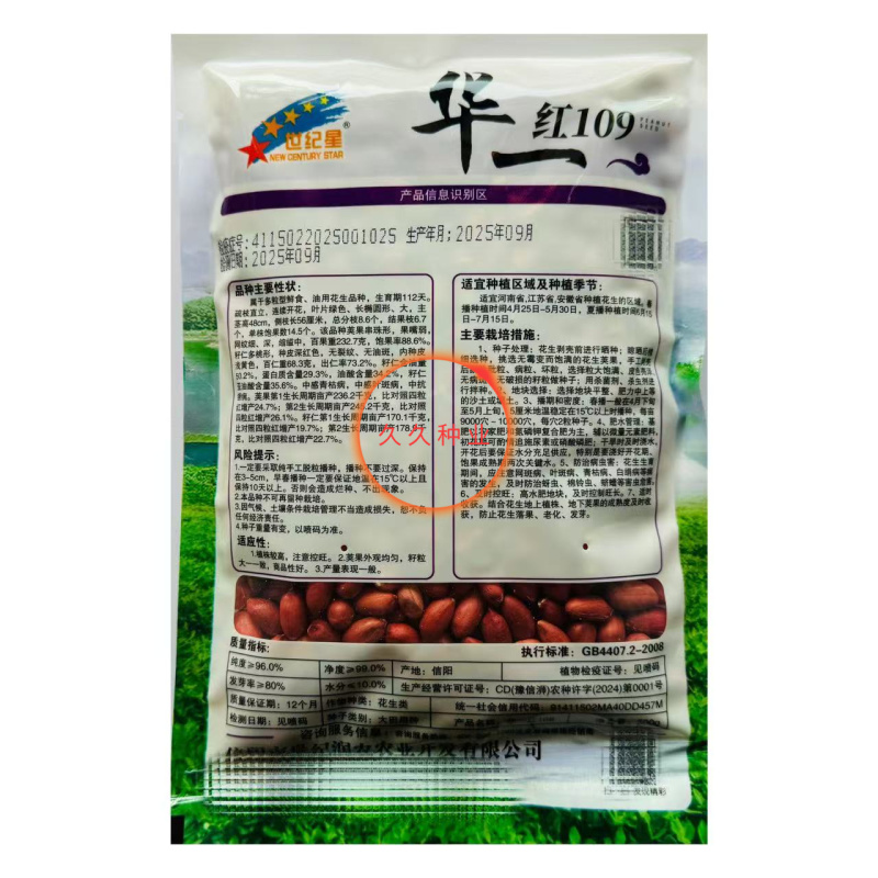 华一红109四粒红花生种子抗旱红皮花生种子高产早熟