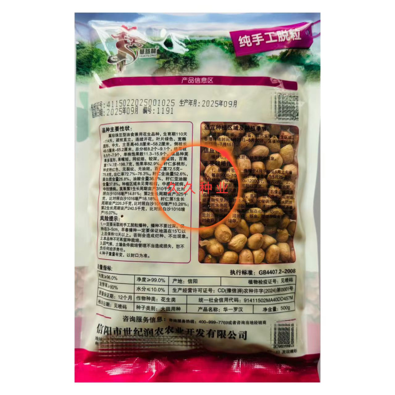 华一罗汉花生种子优质饱满出油率高外形胖似罗汉高产抗病农家