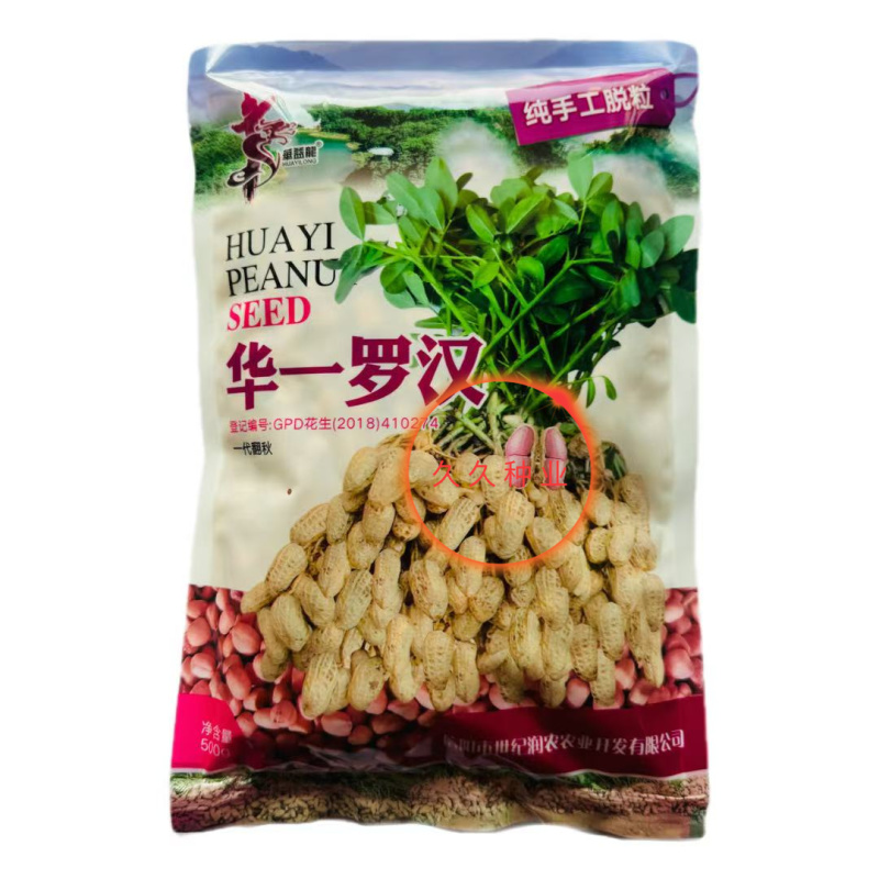 华一罗汉花生种子优质饱满出油率高外形胖似罗汉高产抗病农家