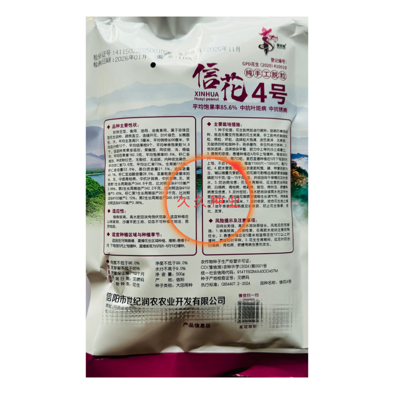 信花4号花生种子榨油花生直立双仁率高耐旱抗病南北方春夏播