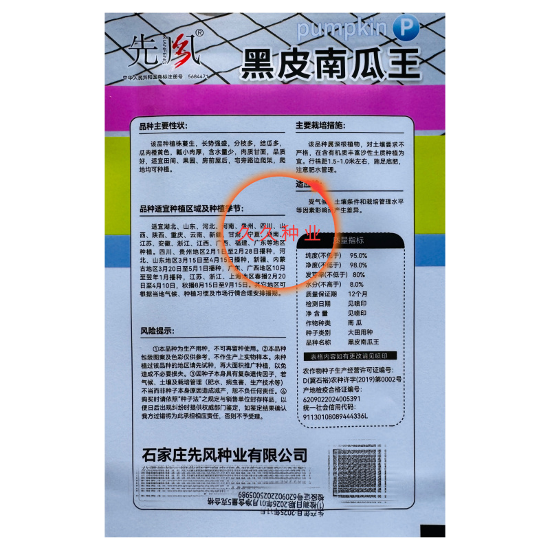 黑皮南瓜王南瓜种子长吊瓜种籽黑长南瓜黑蜜干面甜粉糯