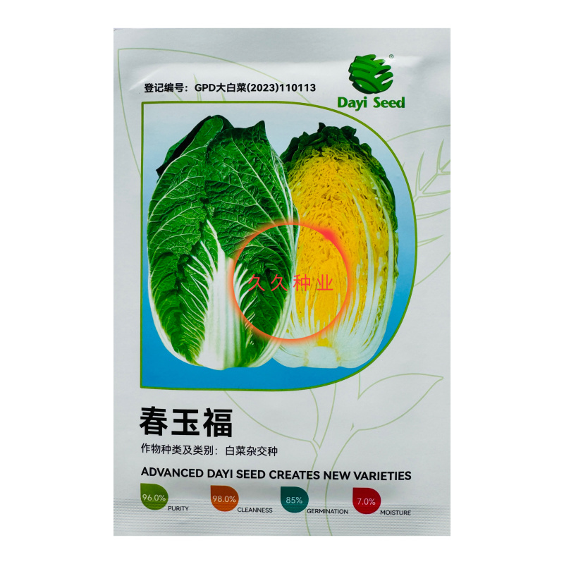 春玉福白菜种子中熟高产黄芯白菜耐抽苔抗病性好炮弹形口感好