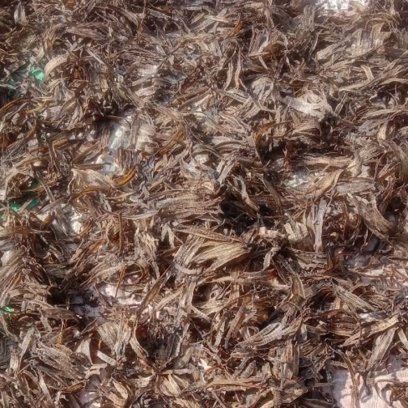 沪地龙全开精品网货