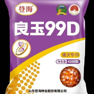 登海良玉99D转基因抗草甘膦抗虫子玉米种子大田种子国审
