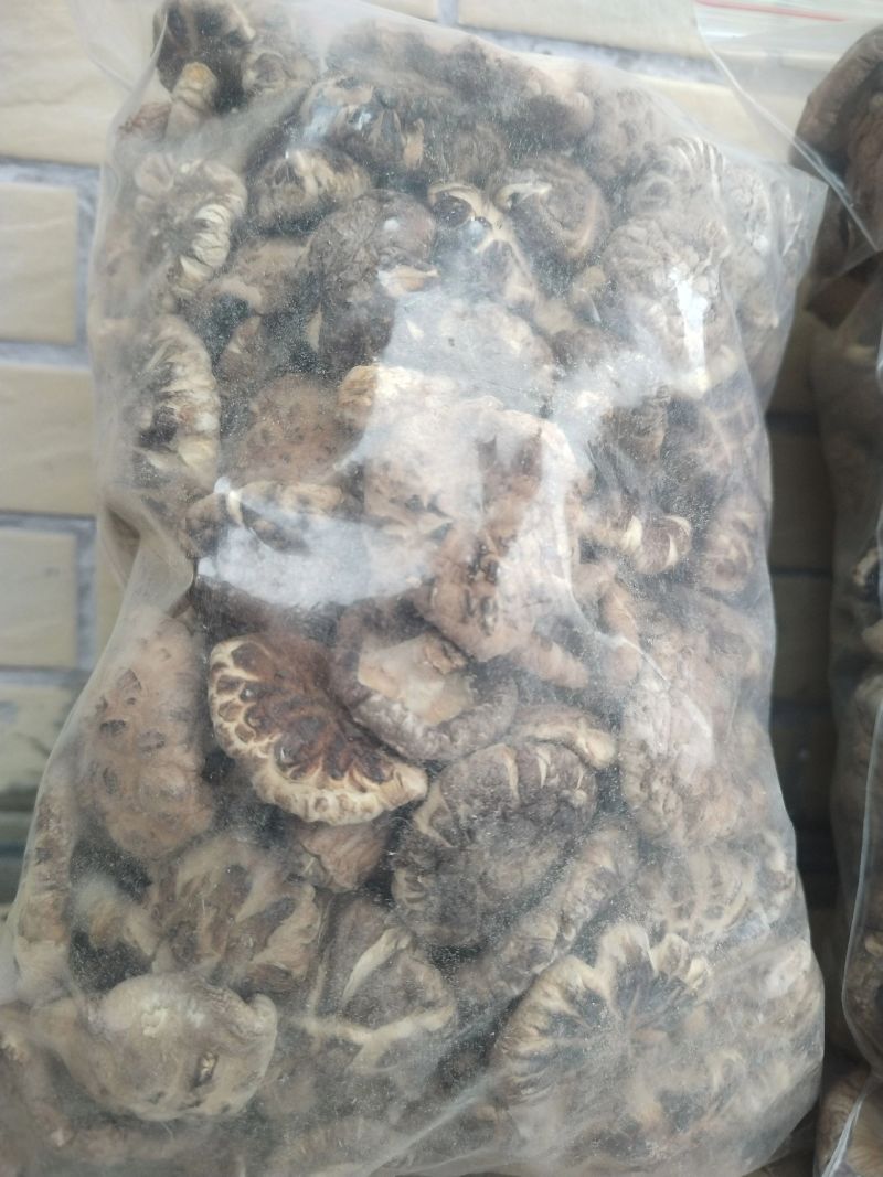 椴木冬菇自家货源，可视频看图