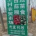 中牟宁玉草莓