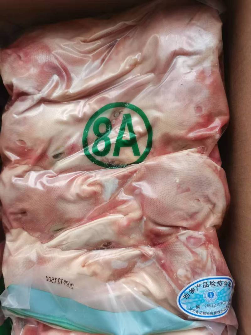 8A鸭头