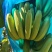 香蕉
