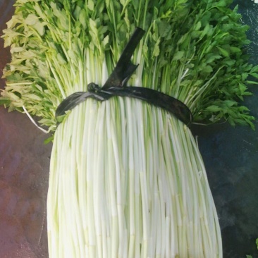 水芹菜