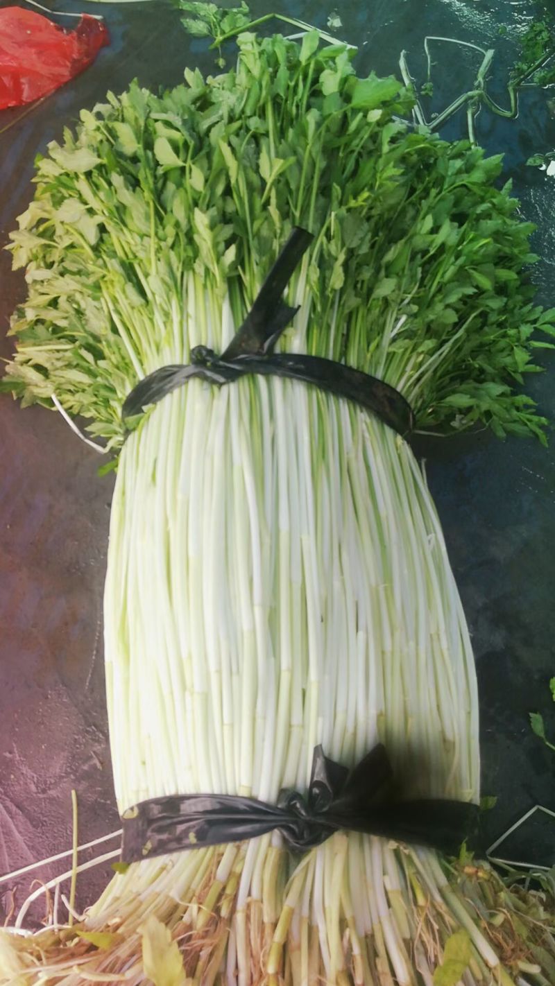 水芹菜
