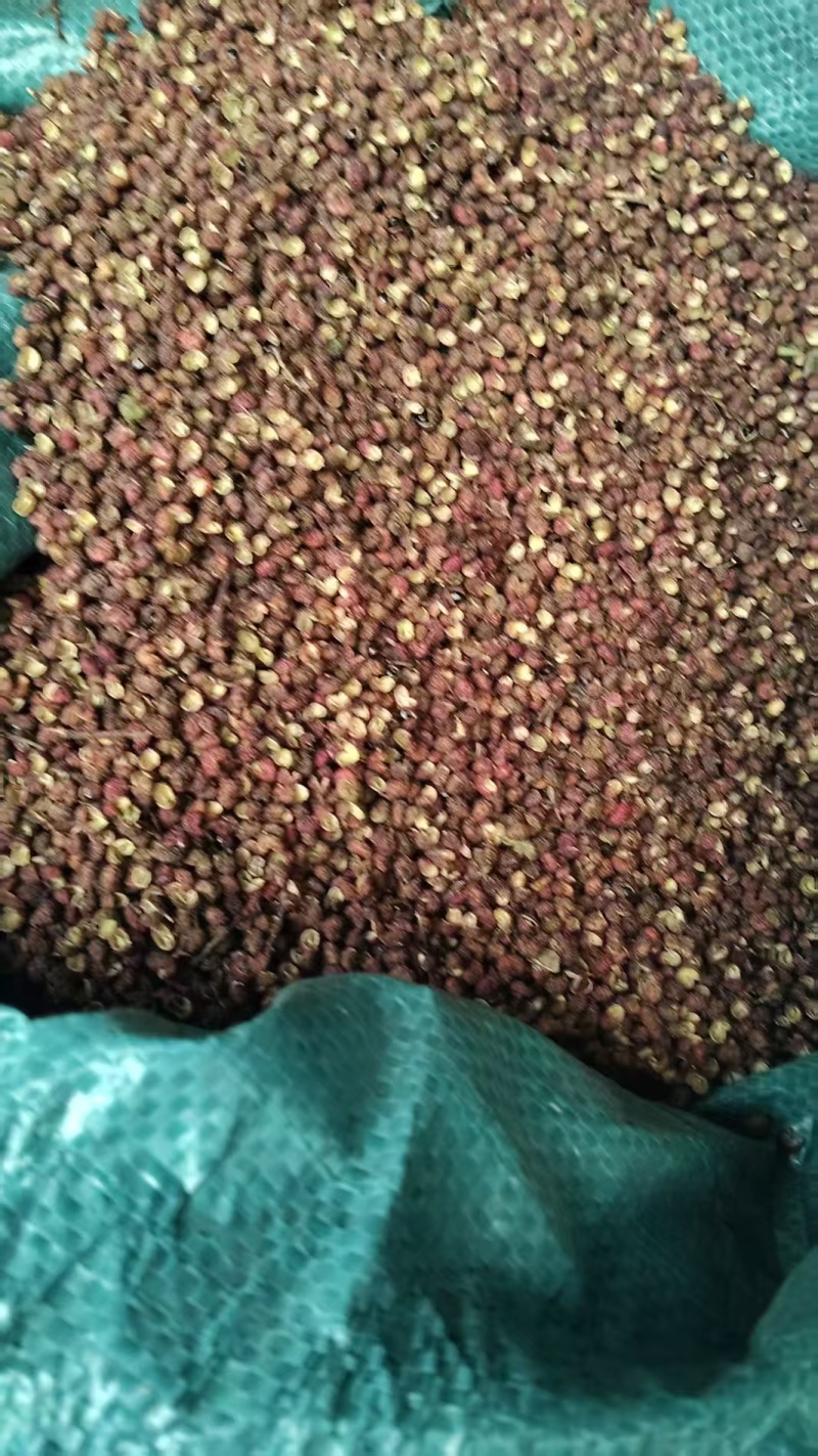 精品花椒货源充足质量保证一手货源诚信经营欢迎咨询