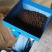 精品山茶油一手货源全国发货量大价优欢迎随时联系