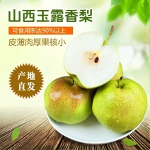 包邮礼盒装山西玉露香梨，大量供应，一手货源，支持零售批发