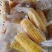 正宗东北黄糯玉米，颗粒饱满软糯香甜，质量保证售后无忧