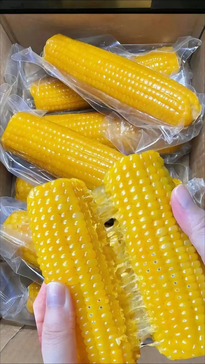 正宗东北黄糯玉米，颗粒饱满软糯香甜，质量保证售后无忧