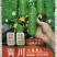 黄瓜种子青川稀刺瘤绿白色全雌甜脆小黄瓜带瓜力强抗病