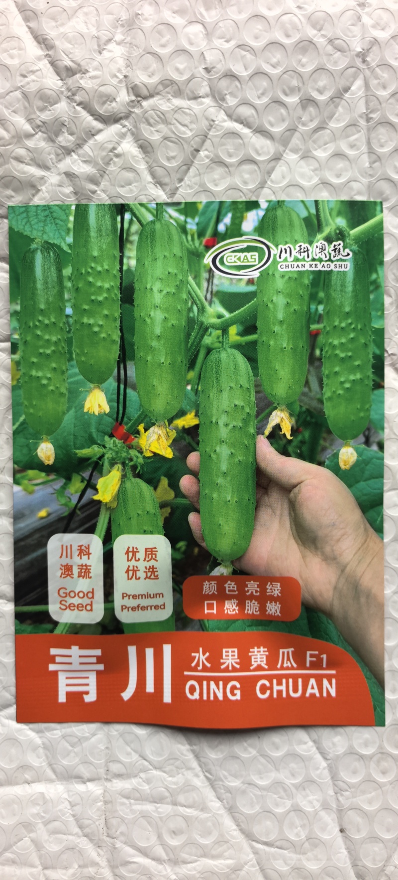 黄瓜种子青川稀刺瘤绿白色全雌甜脆小黄瓜带瓜力强抗病