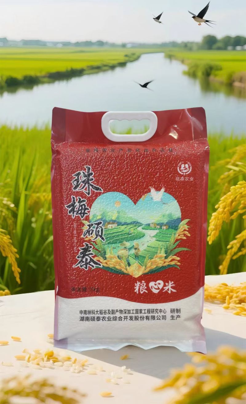 硕泰米