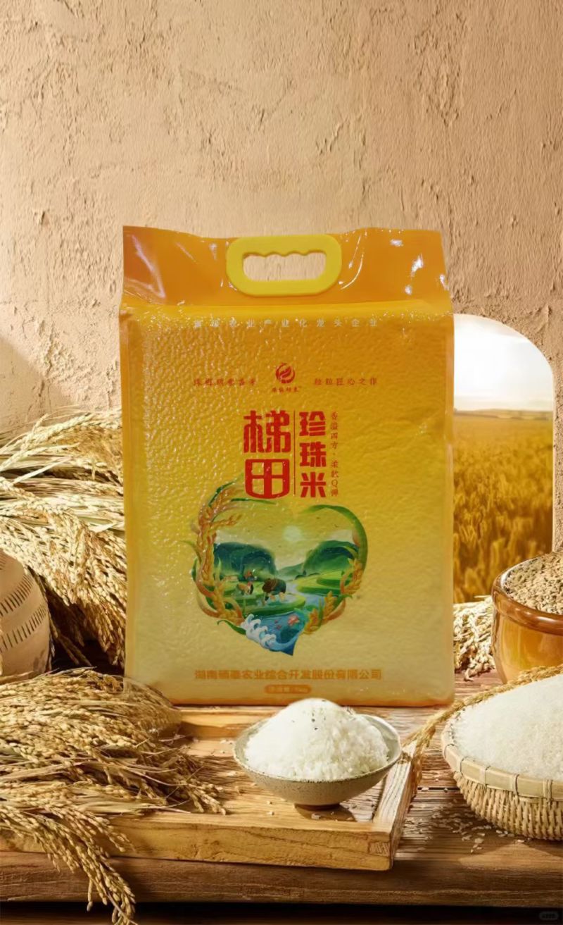 硕泰米