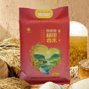 硕泰米