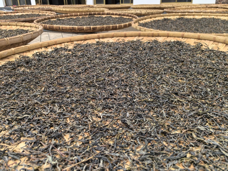 精品普洱茶产地直供品质保证，诚信经营，合作共赢欢迎来电