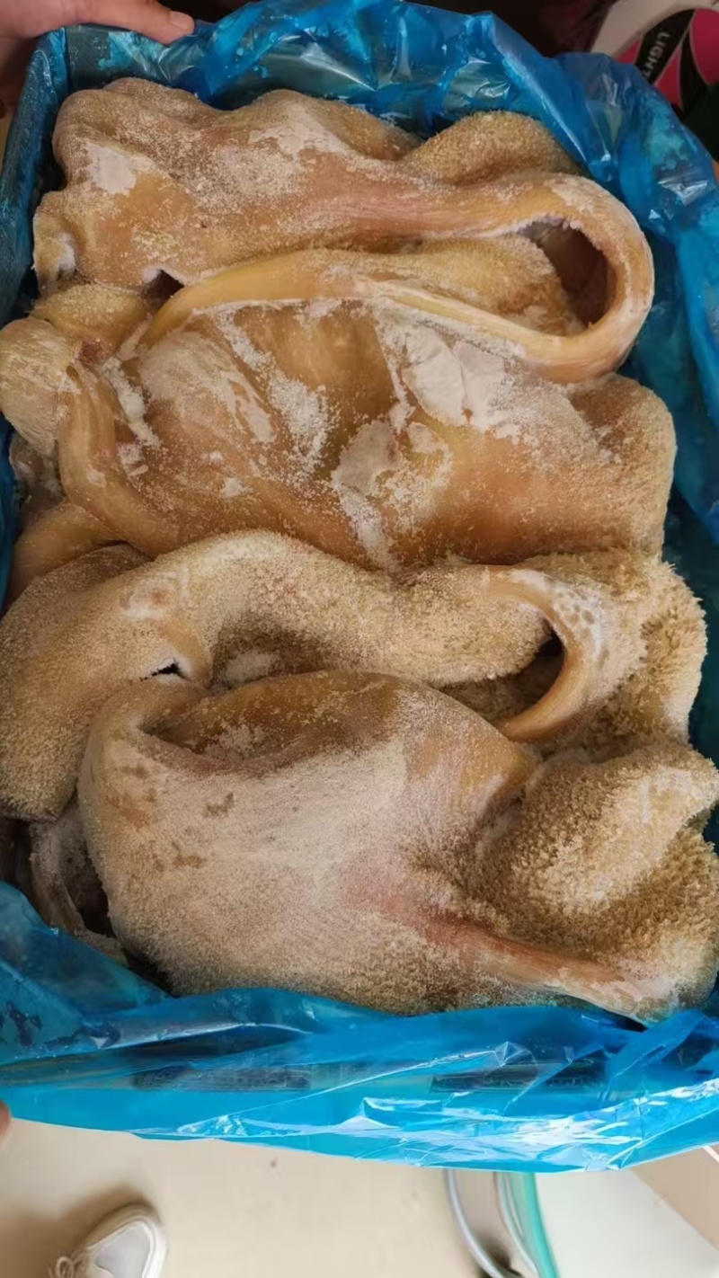 纯干五香熟牛肚，牛杂煲，小炒，火锅食材