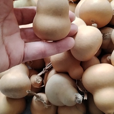 小美的胖墩葫芦通货更优惠